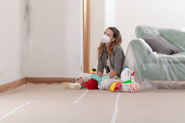 Reliable Mold Remediation contractor in Wilsonville, OR by WQB Mold Removal